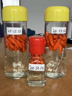 コーレーグース3本